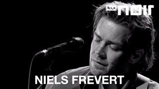 Niels Frevert - Aufgewacht auf Sand (live bei TV Noir)