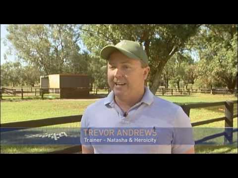 Trevor Andrews - 1990 Natasha & 1991 Heroicity