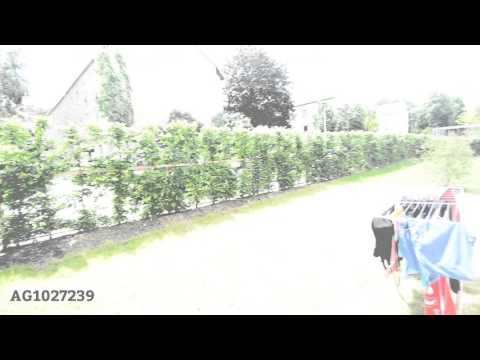 WU-1027239 - möblierte 2-Zimmerwohnung in Würzburg/Zellerau