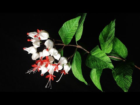 ABC TV | How To Make Bleeding Heart Vine Flower From Crepe Paper - Craft Tutorial