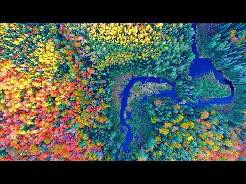 The Best Fall Colors - Autumn Foliage Video by Drone 4K