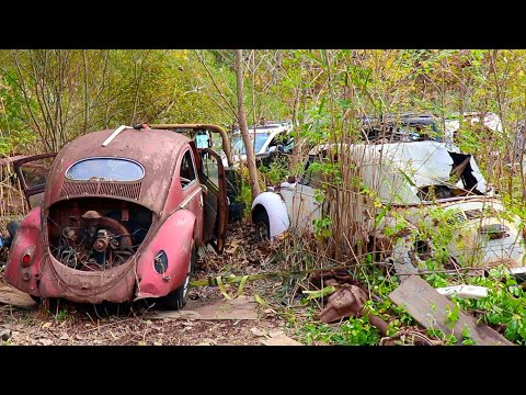 Back to the ScrapYard for the rare Vw Beetle & what other surprise finds ?