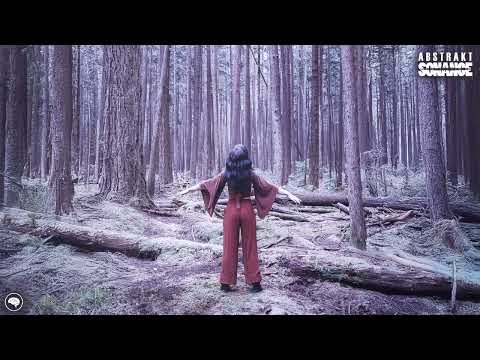 abstraktsonance and Morii Records