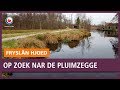 REPO: De Natuurdetective op zoek naar de Pluimzegge