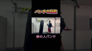 パンチの比較  #拳 #おもしろ #お笑い #サンドバック#shorts