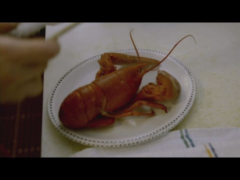 Why Anthony Bourdain loves this Cape Cod legendary restaurant (Parts Unknown: Massachusetts)