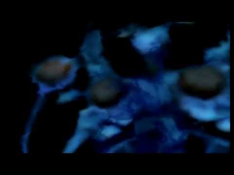 Let's Play Xenosaga Part 84 - Sounds Familiar