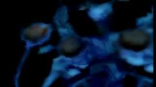 Let's Play Xenosaga Part 84 - Sounds Familiar