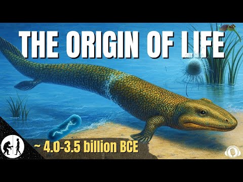 The First Life on Earth | The Complete Story of Our 4-Billion-Year-Old Beginning