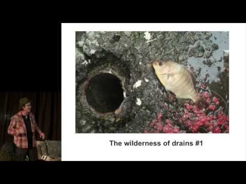 Some strange and wonderful fishes of San Francisco: Kirk Lombard at TEDxConstitutionDrive