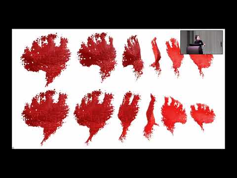 Calarco: Using BigBrain to establish a histologically-informed MRI reference of the human claustrum