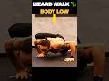 ✅️ Best Animal Movement Patterns To Do Daily P3 🐻‍❄&🦎 (Description) #animalmovement  #primalmovement