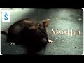 MouseHunt 1997 Scene Going Going Gone