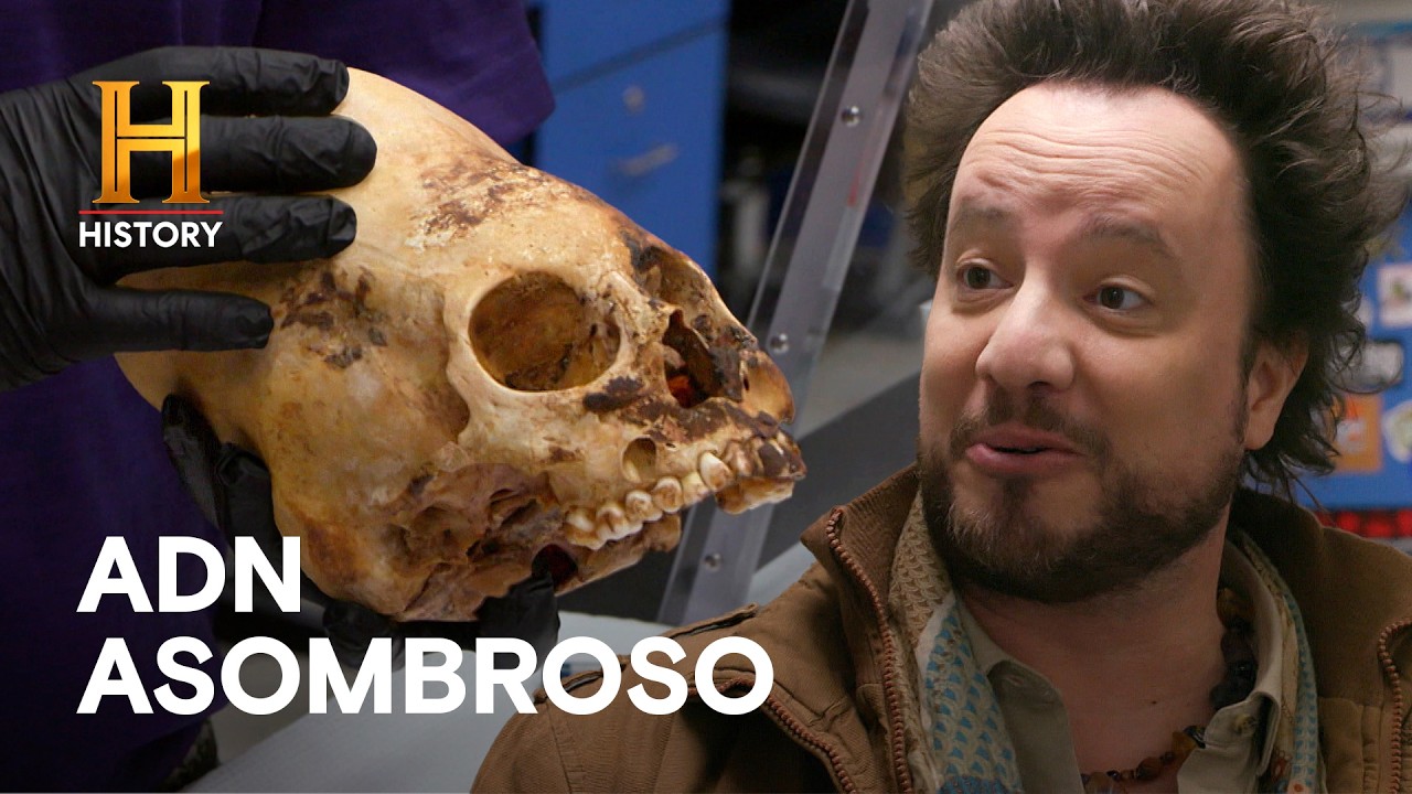 El Extraño ADN de los Cráneos Alargados de Perú 💀🧬 - ALIENÍGENAS ANCESTRALES