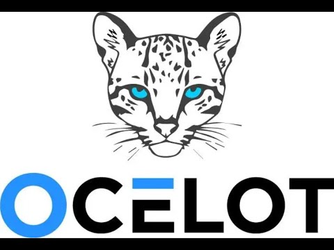 Build a .NET API Gateway with Ocelot | Route Microservices Like a Pro
