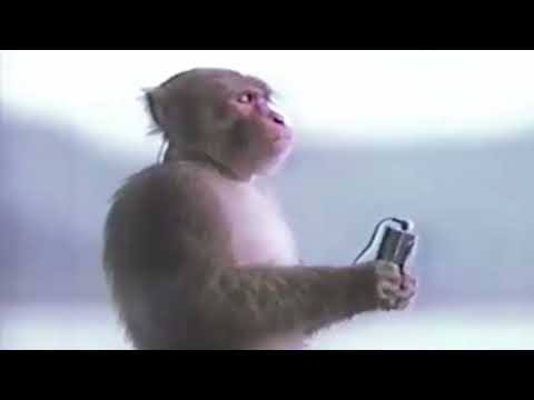 OLIWKA BRAZIL "KARALUCHY"