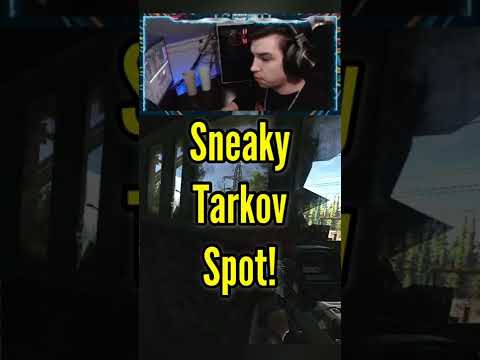 Hidden Customs Spot! - Escape From Tarkov Shorts