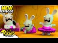 Rabbid Special Unit S04E05 RABBIDS INVASION New Episodes Cartoon For Kids