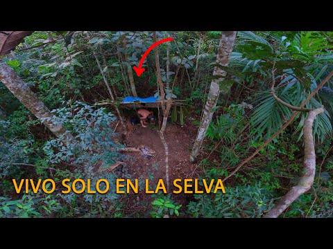I survived 7 days ALONE in the middle of the Amazon jungle.