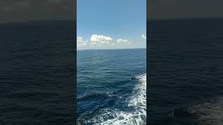 Download lagu Entering BINTULU port Sarawak malaysia #mariners #nature #seafarer #sea #ship #love #bintulu mp3 Download lagu Entering BINTULU port Sarawak malaysia #mariners #nature #seafarer #sea #ship #love #bintulu mp3