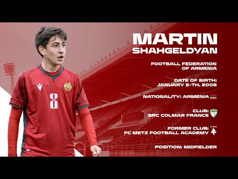 Martin Shahgeldyan's SR Colmar skills