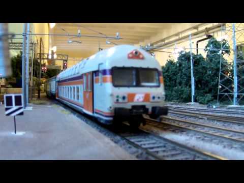 Mastodonte dei Giovi (Busalla)