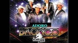 Adoro - Bronco