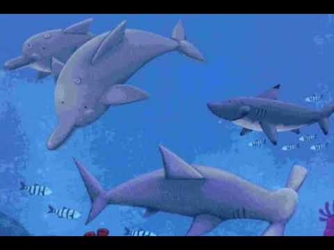 A escolinha do mar -  Ruth Rocha - audio livro infantil