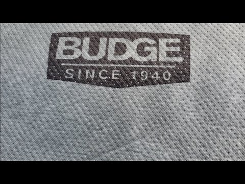Car Covers from Autozone Budge Pro Elite..does it Work? Real World Results 1 year and 2 years