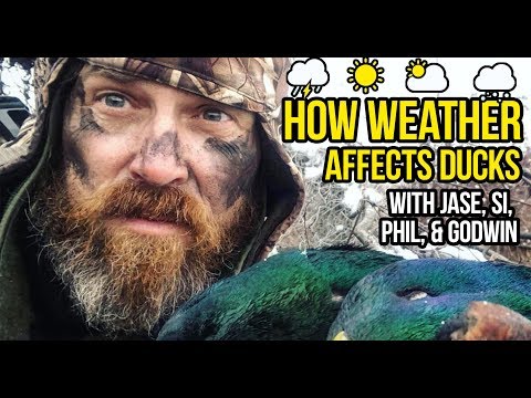 How to Scout Ducks with the Weather | Duck Hunting Tips & Tricks