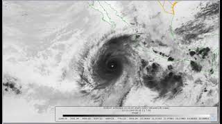 Hurricane Trudy satellite loop (10-20-1990)