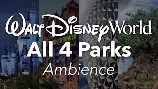 Walt Disney World All 4 Parks Ambience  Walt Disne