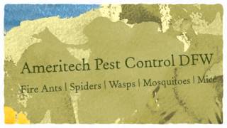 preview picture of video 'Pest Management Insect Control 817-381-2468 Euless TX Bed Bug Bites'