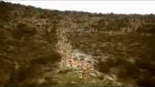 Lynx - Spray More