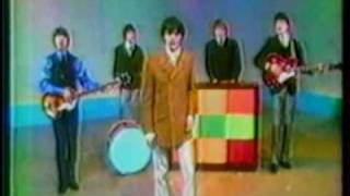 The Buckinghams - Kind Of A Drag (news clip)