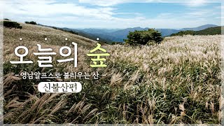 [#오늘의숲] 억새 은빛 물결로 물든 영남알프스 '신불산' 