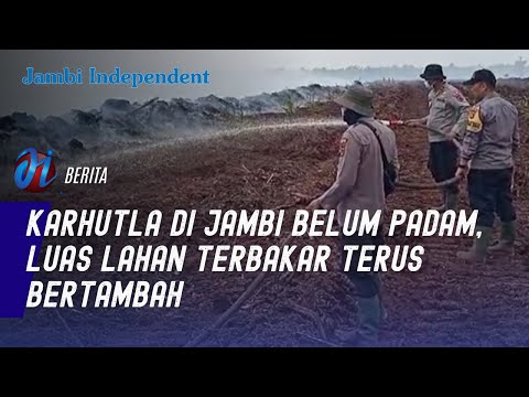 Karhutla di Jambi Belum Padam, Lahan Terbakar Terus Bertamba