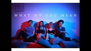 WHAT DO YOU MEAN - Justin Bieber (The Sam Willows Cover)