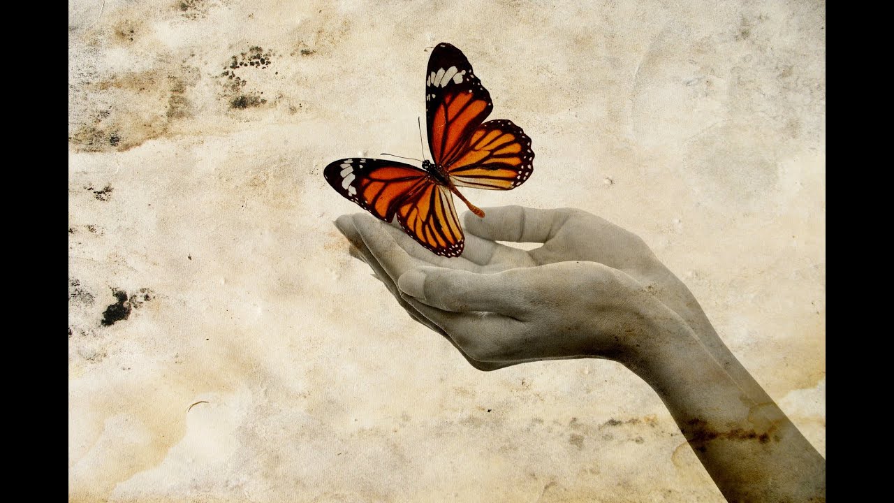 Letting Go: A Guided Meditation, The Magic Book, Spoken Word Guided  Visualization, Waterfall Relax