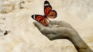 Letting Go: A Guided Meditation, The Magic Book, Spoken Word Guided  Visualization, Waterfall Relax