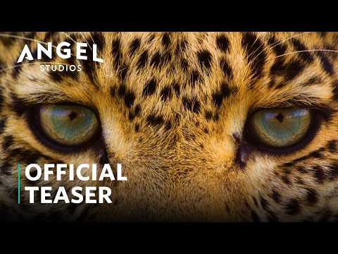 The Riot And The Dance | Season 1 | Official Teaser