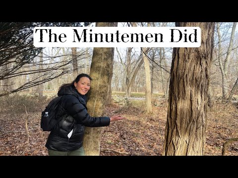 You've never seen Battle Road FROM HERE but the Minutemen did!