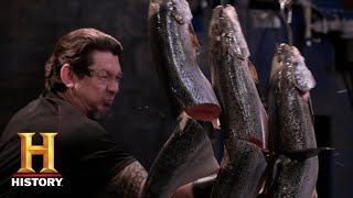 Forged in Fire: KILLER Falcata Blade CHOPS the Final Round *Extra Sharp Cuts* (Season 3) | History