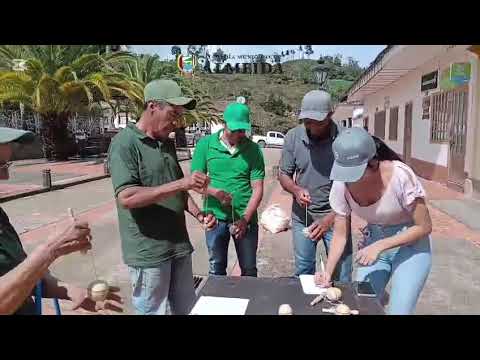 JUEGOS CAMPESINOS ALMEIDA 2025