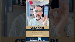 Gurbetçiler Dikkat: Yurt Dışı Plakalı Araçların Türkiye'de Kullanım Ku