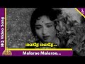 Malare Malare Video Song Thennilavu Movie Songs Gemini Ganesan Vyjayanthimala Pyramid Music