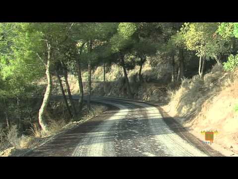22/10/14 – La Diputación subvenciona el asfaltado del camino rural de Sant Pere de La Nucía