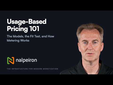 Usage-Based Pricing 101