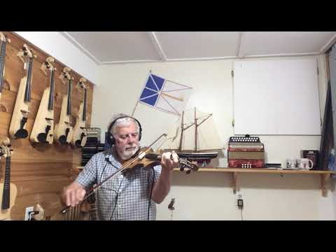 Violin 4/4  fretted electric image 10