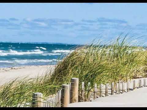 WTWV/WDVT "The Wave, Oldies 101.1" (Now WHYA Y101, WFRQ "Frank 93.5") - Legal ID - 2003 (Re-Upload)